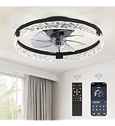 LEDIARY 20 Inch Low Profile Ceiling Fans with Lights and Remote, Fandelier Ceiling Fan Flush Moun...