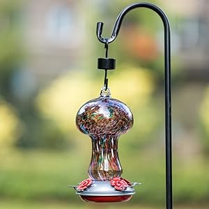 charming and attractive hummingbird feeder