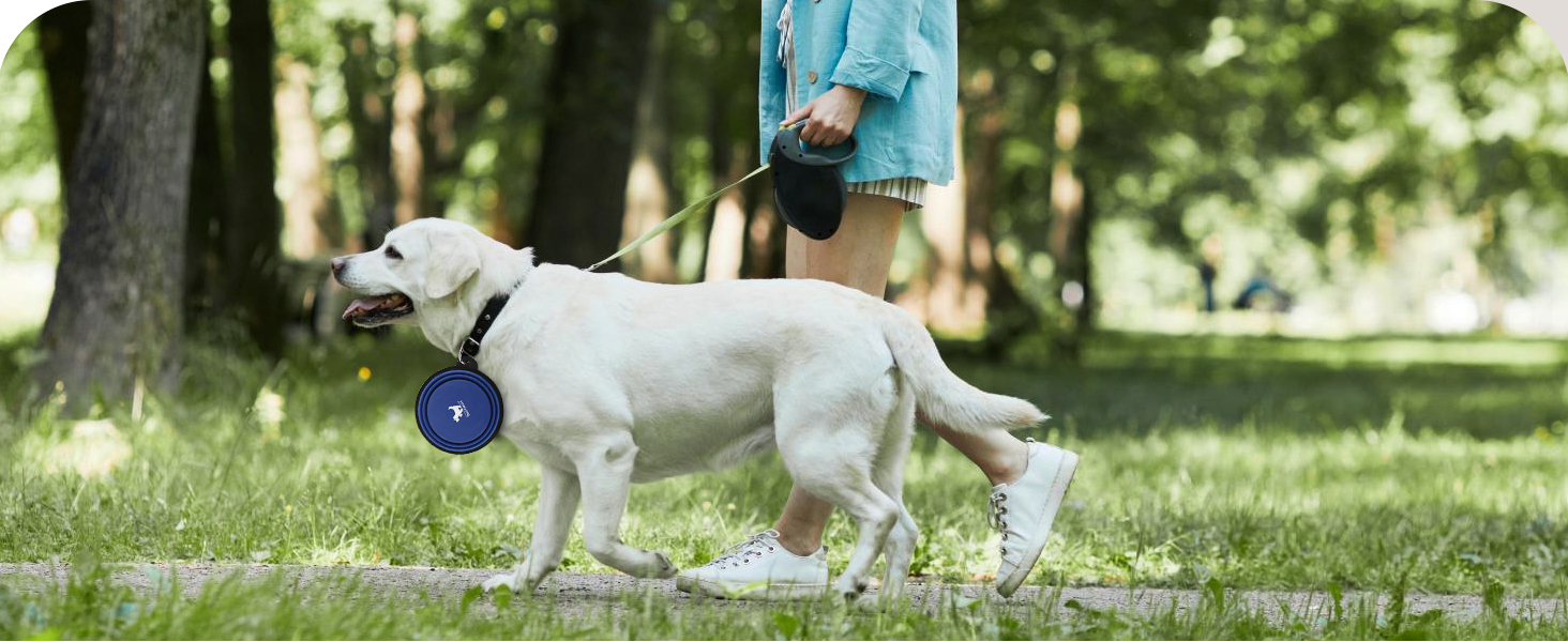 dog hiking gear essentials outdoor walking supplies carabiner attached