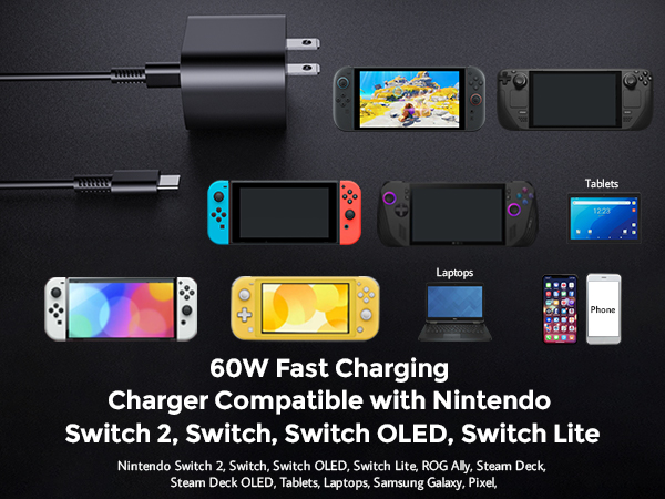 fast charging charger for switch 2