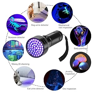 uv black light