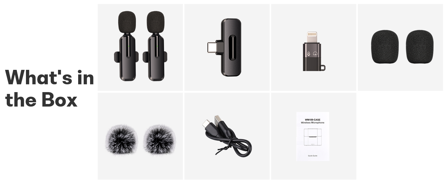 microphone for iphone