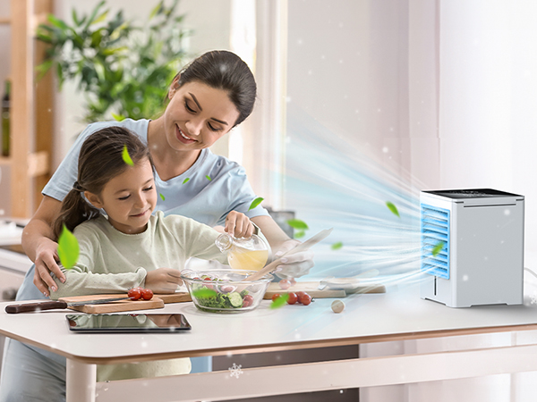 Portable Air Conditioners fan