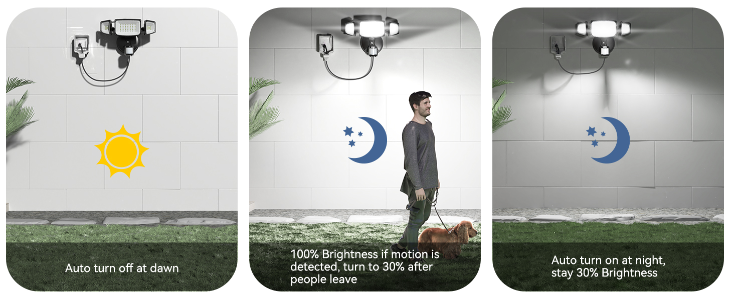 Dusk to Dawn Outdoor Lights