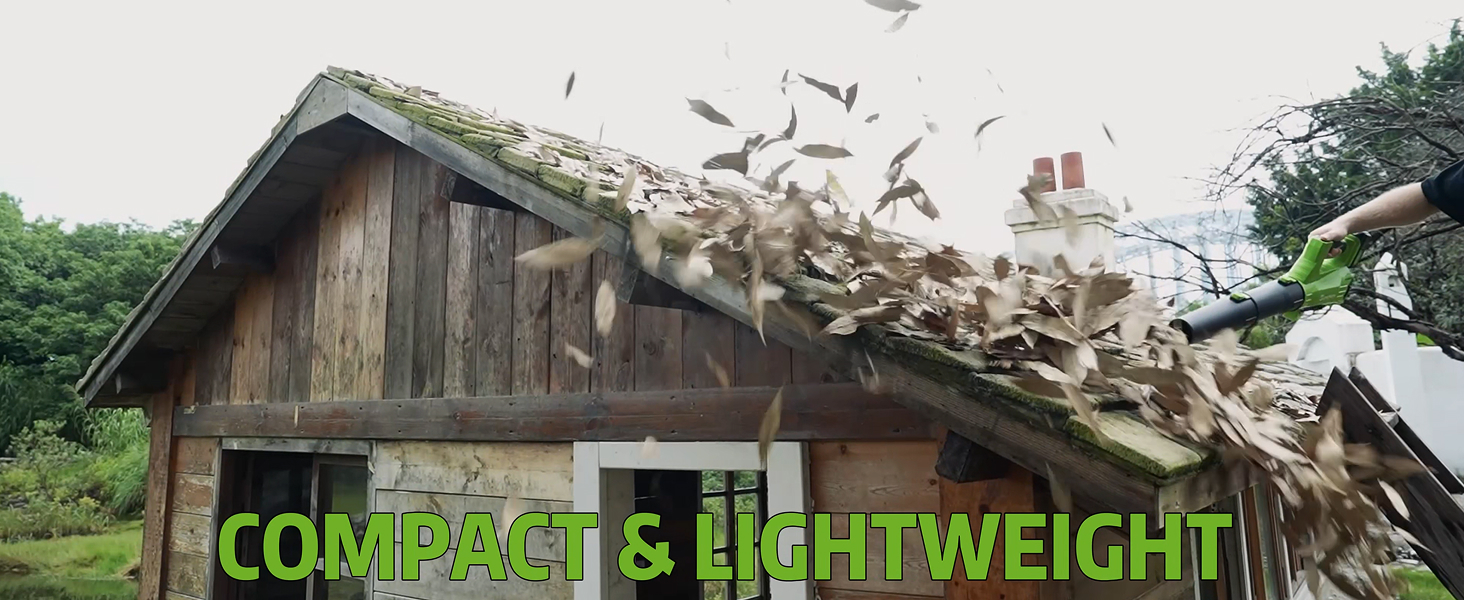 Leaf Blower Cordless