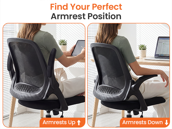 Desk Chair with Customizable Armrests