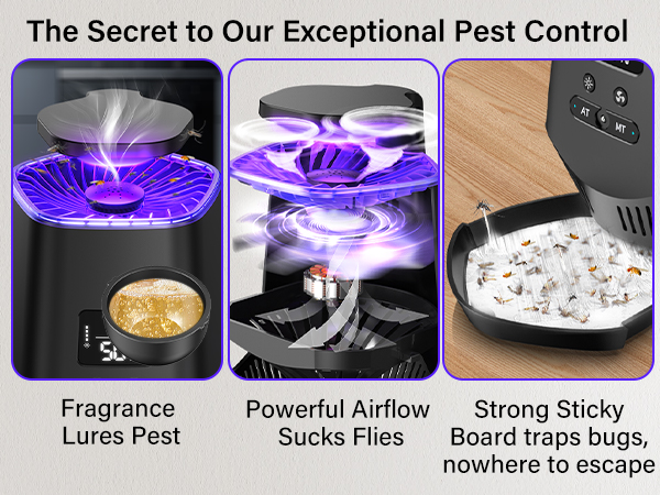 gnat traps for house indoor