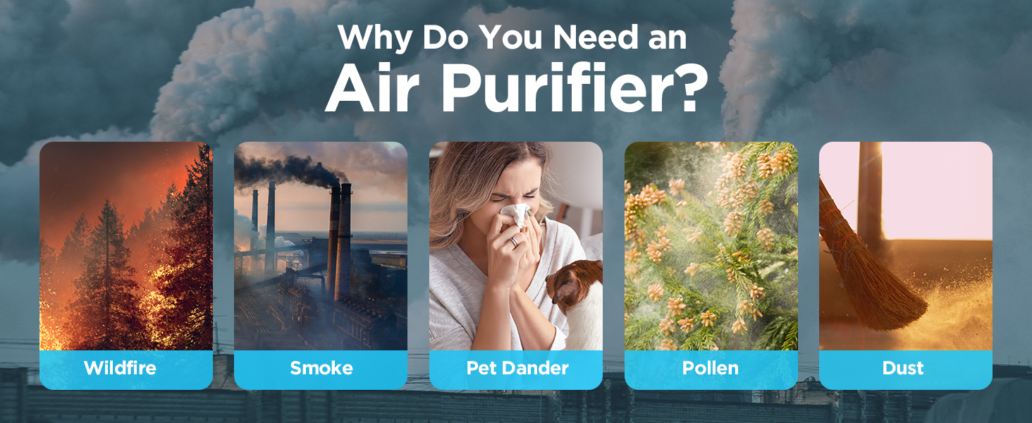air purifier