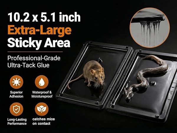 Heavy-Duty Hold for Large Pests