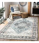 Domitapis Area Rug 5×7, Vintage Boho Rug,Ultra-Soft Low Pile, Washable, Non Slip,Stain Resistant ...