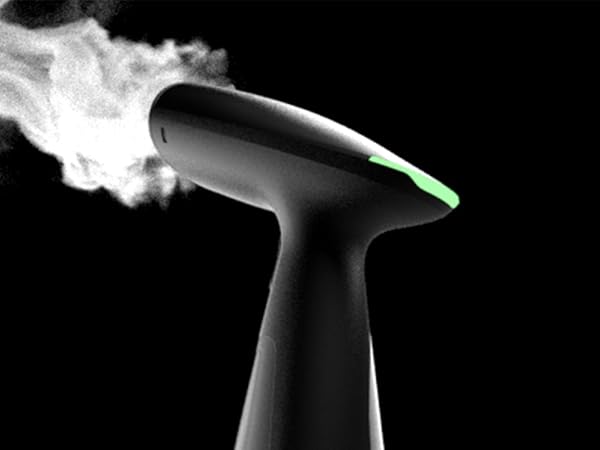 travel garment steamer