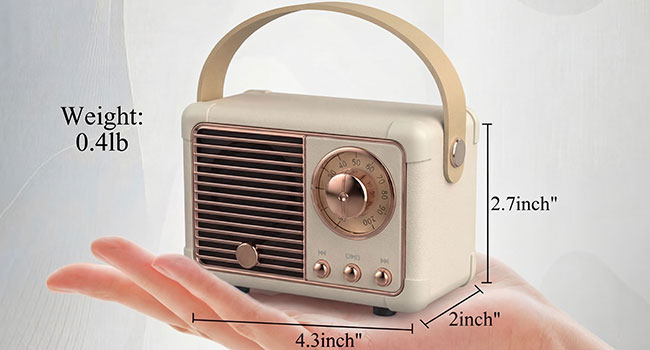 Mini Size But Surprisingly Loud Volume