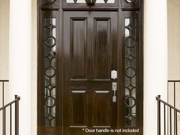 smart keyless entry door lock