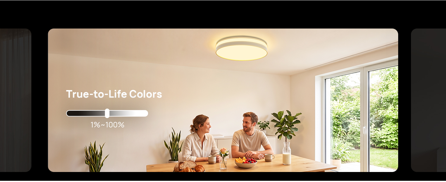 smart ceiling light