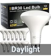 TJOY 12 Pack BR30 Led Bulb 65W Equivalent, Dimmable LED Flood Light Indoor, E26 Base, 5000K Dayli...
