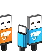 Aioneus