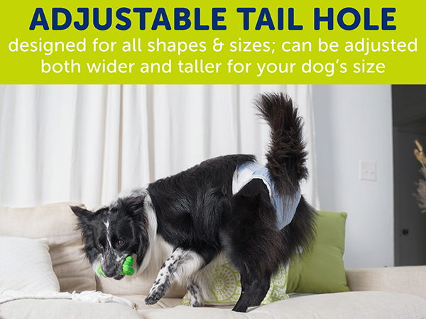 Adjustable Tail Hole