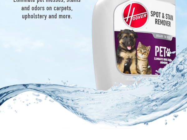 Fight Pet Messes with Ease