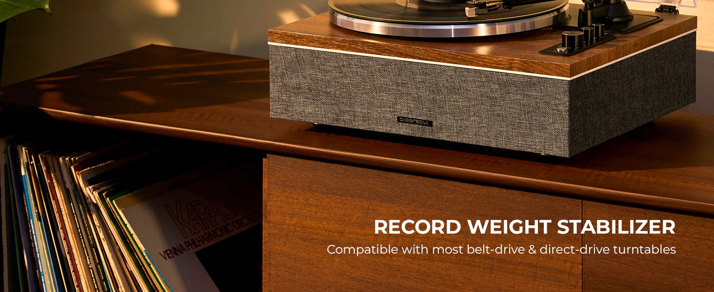 record weight stabilizer