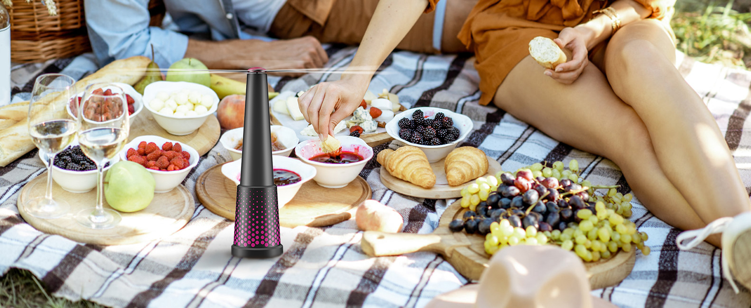 fly fan for picnic