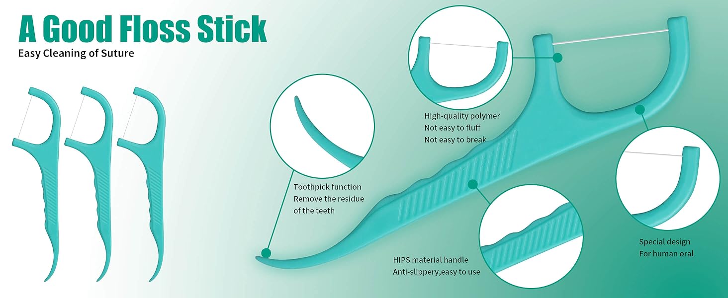 Alosalut PepperMint Dental Floss Picks 480 Pack