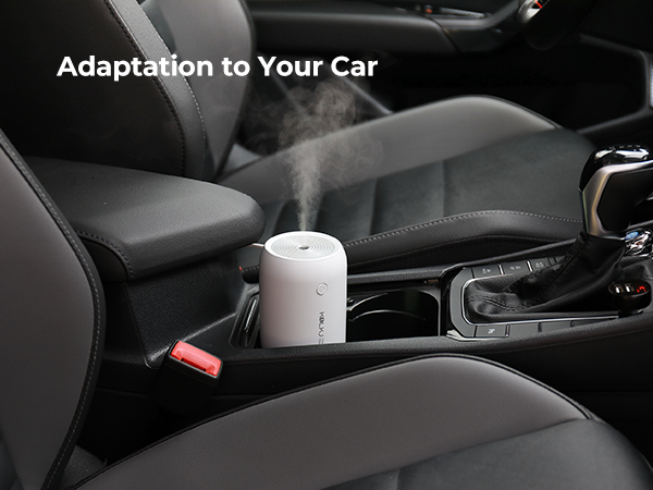 Adaptation to your car