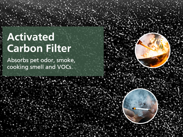 carbon filter