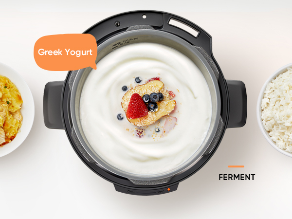 The ferment function can do more than yogurt, and support to adjust temperature within 77? and 356?.
