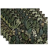 Wnoesat Black Sage Green Plant Placemats Set of 4 Vintage Botanic Fern Leaves Herb Floral Place M...