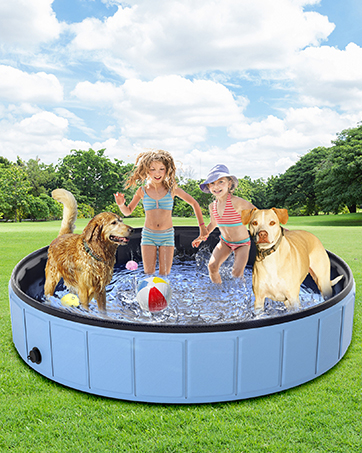 dog pool