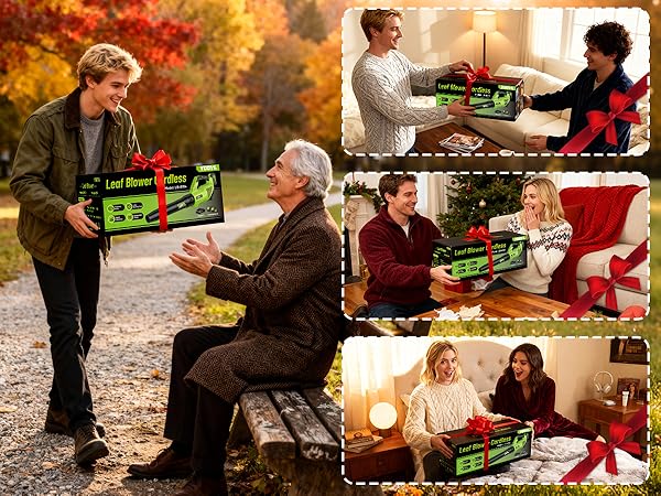 Leaf Blower Cordless as a Gift