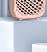 S328 Bluetooth Voice Amplifier 