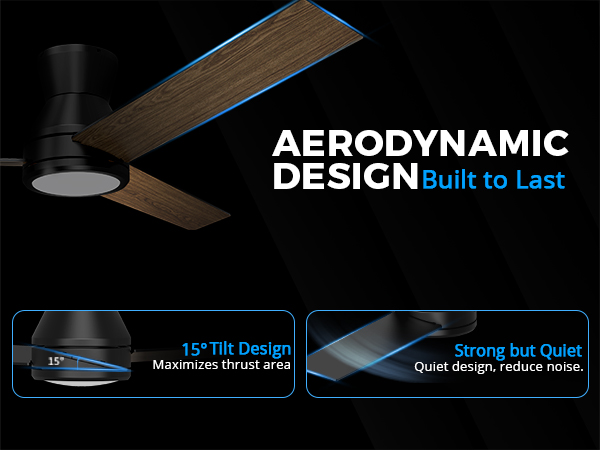 Ceiling Fans with Lights