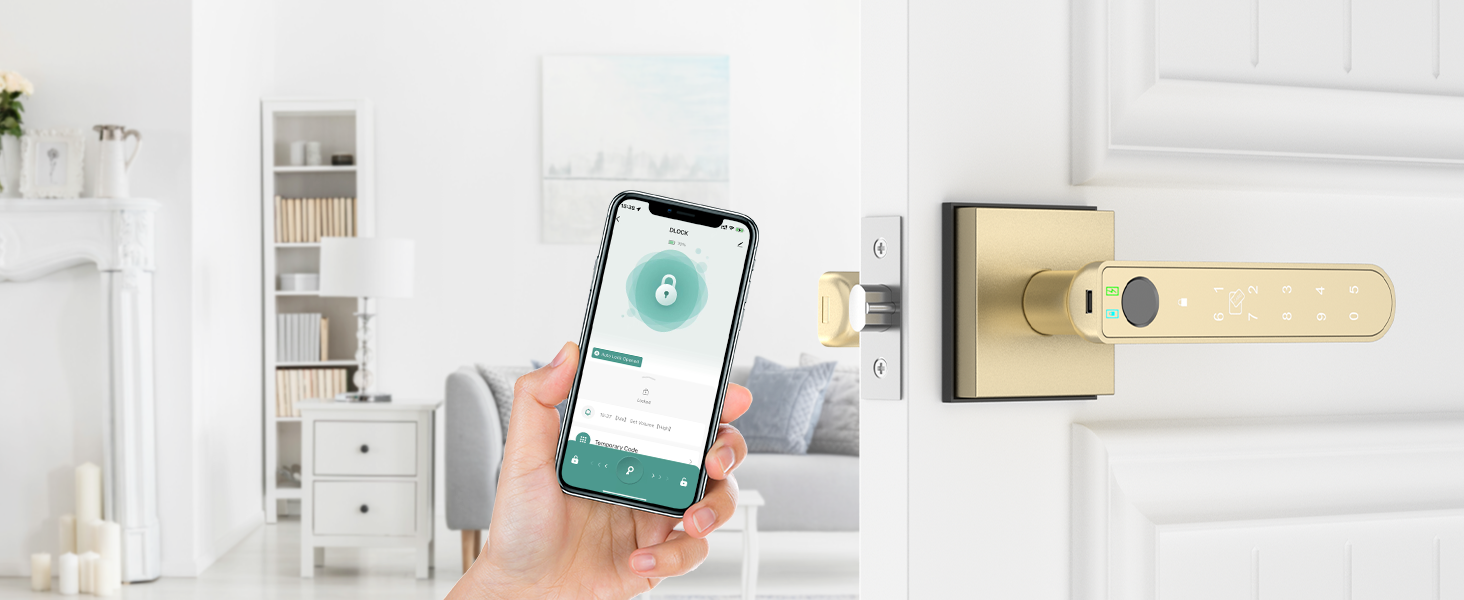 gold keyless entry door lock