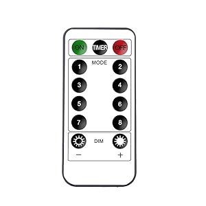 bulb curtain lights with remote