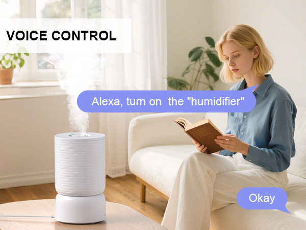 humidifier voice control
