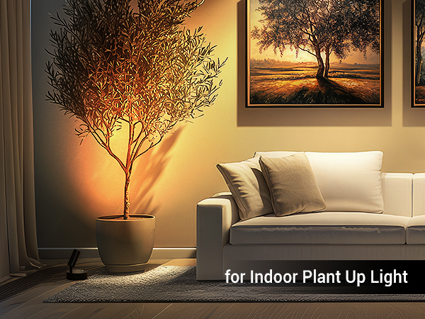 plant spotlight indoor