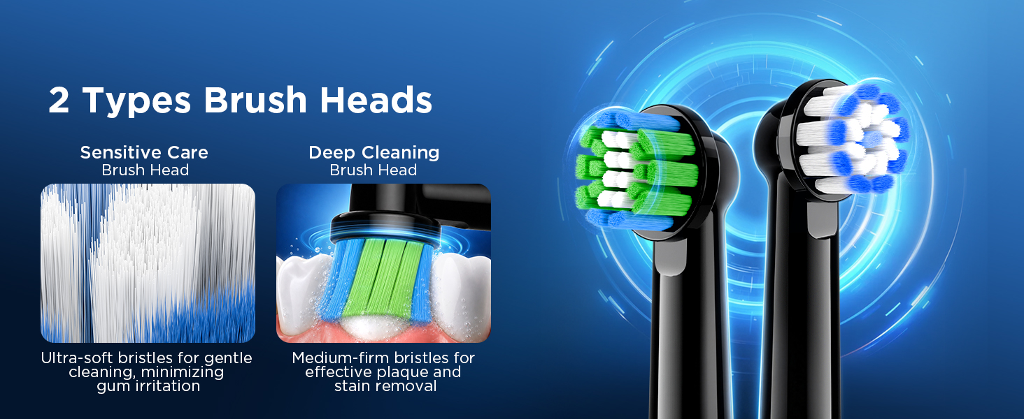Electric Toothbrush