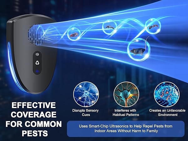 Functional upgrades in 2025