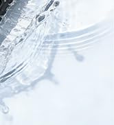 waterproof milk frother