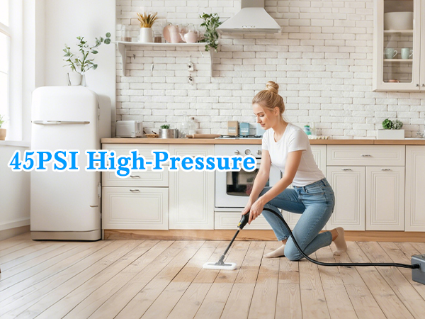 portable steam cleaner for home