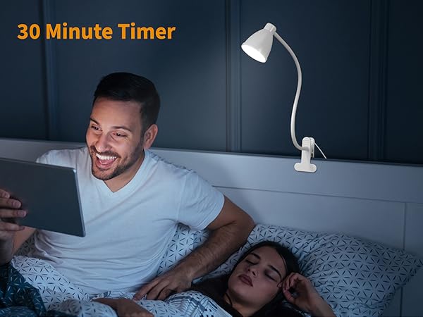 Desk Lamp Reading Light LED Clamp Lamp Flexible Gooseneck Clip on Light for Bed Bedside