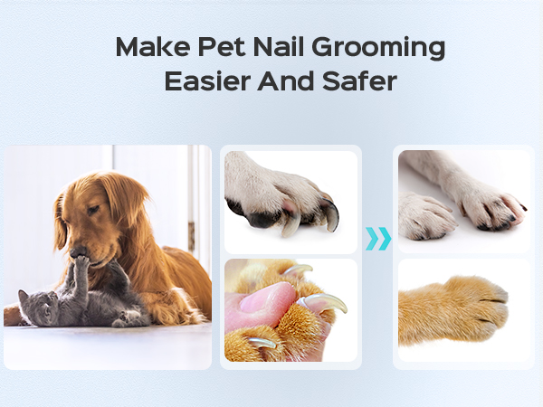 pet toenail drill