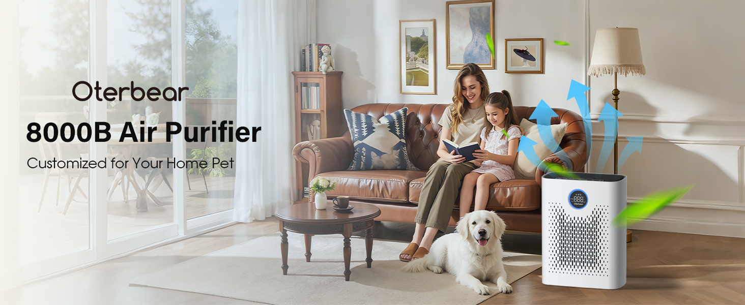 air purifiers for home large room