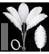 Soarer White Large Ostrich Feathers - 10Pcs Making Kit 34inch Extra Large Ostrich Feathers Long f...