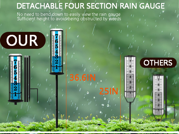 rain gauge