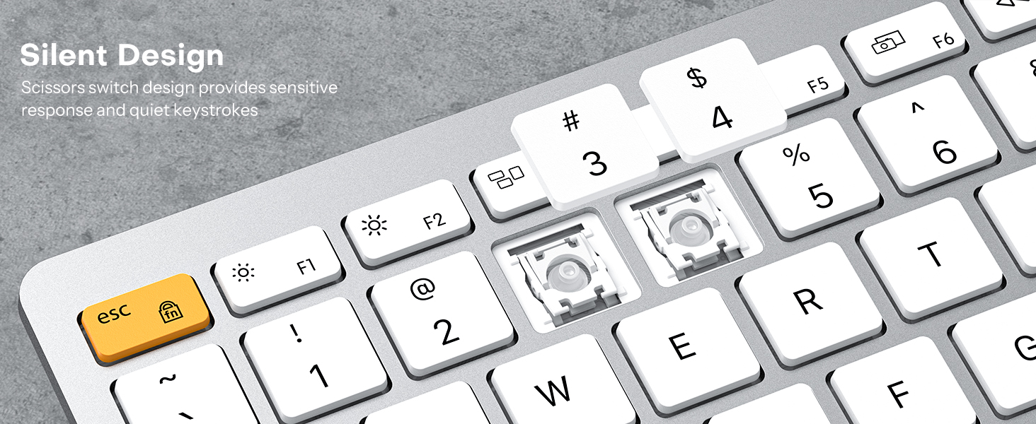 mac keyboard and mouse