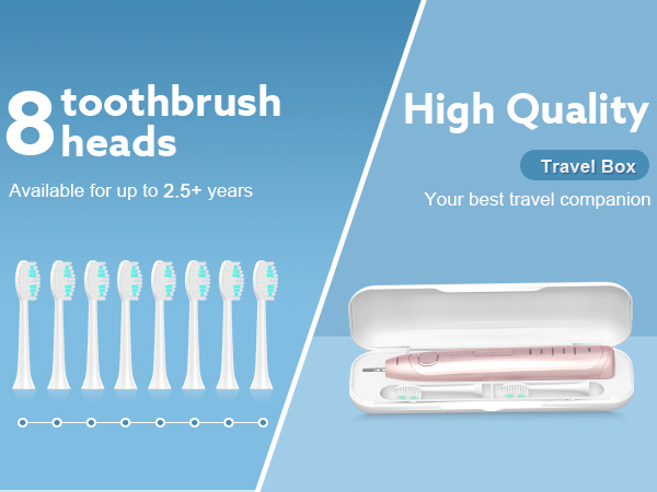 Electric Toothbrush