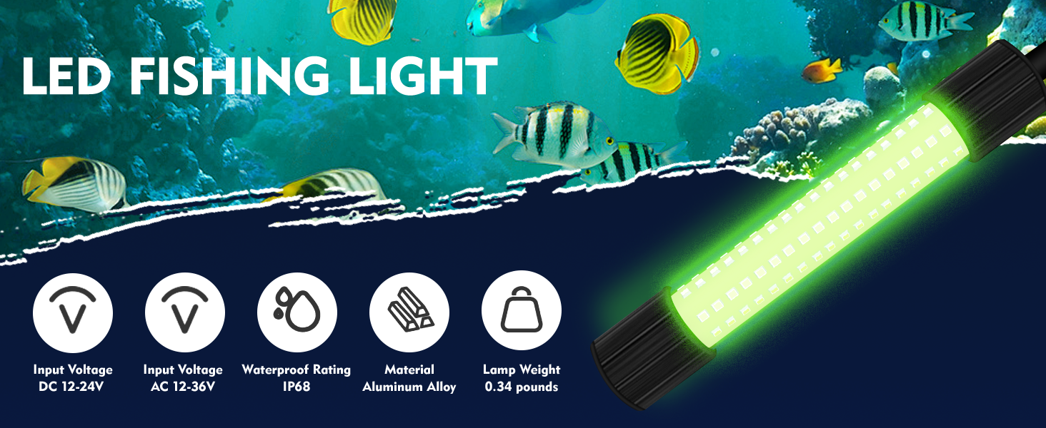 fishing lights