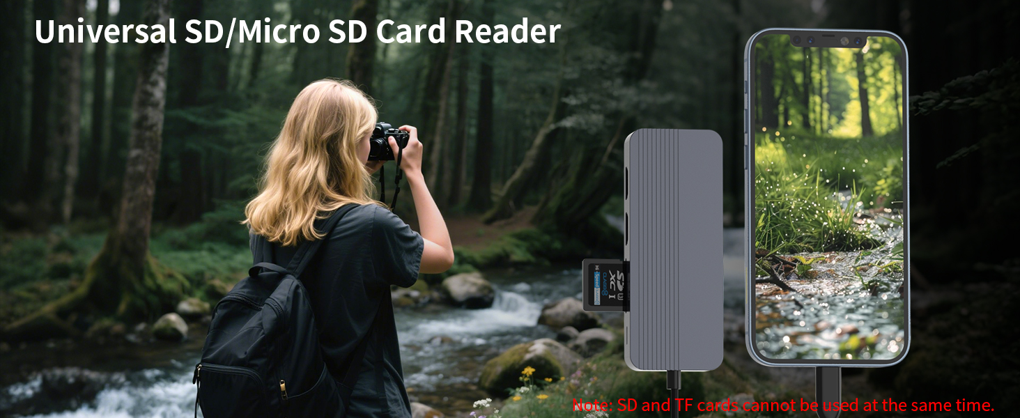 SD/Micro SD Card Reader
